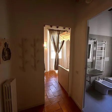 Viacoloniola37 *