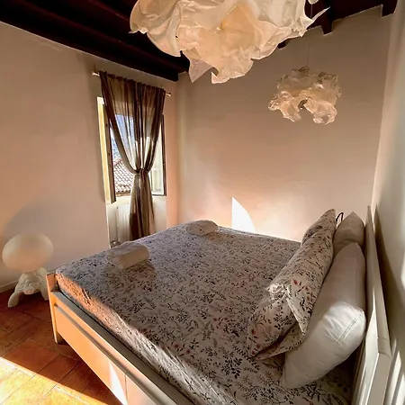 Viacoloniola37