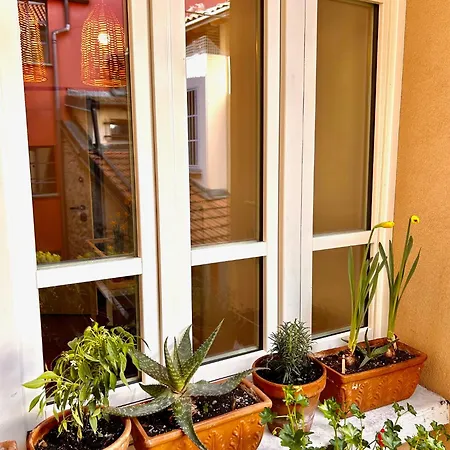 Viacoloniola37 Holiday home Como