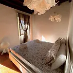 Viacoloniola37